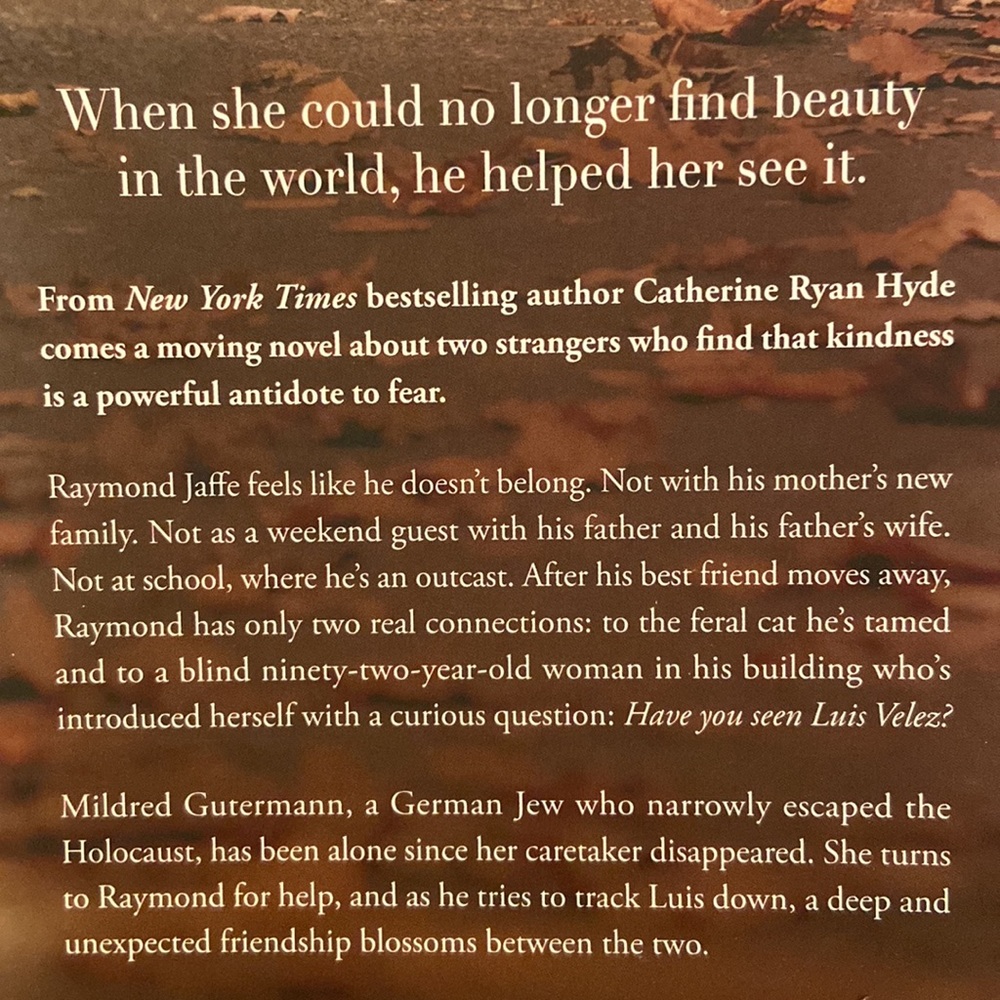 HAVE YOU SEEN LUIS VELEZ? A Novel Catherine Ryan Hyde Paperback Book - Picture 3 of 7